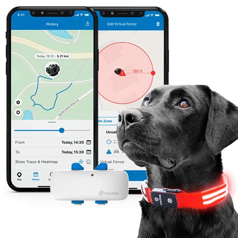 The Best Pet Trackers and GPS Dog Collars of 2024.